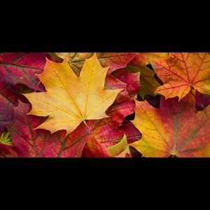 Meet your Posher, Bradley